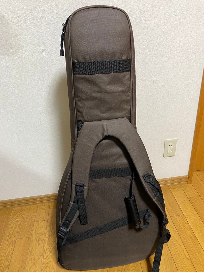 PRS SE Custom 22 セミホロウボディギター