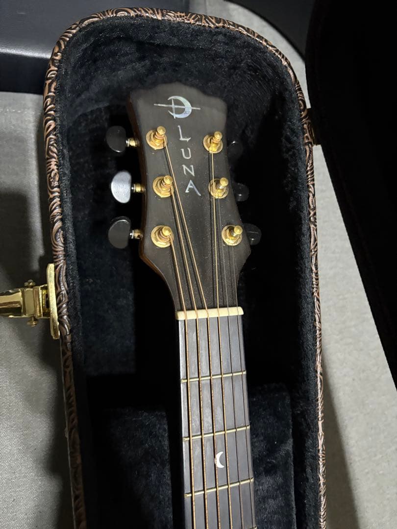 ルナ・ヴィスタ・イーグル　アコースティック・エレクトリックギター値下げ受け付け中