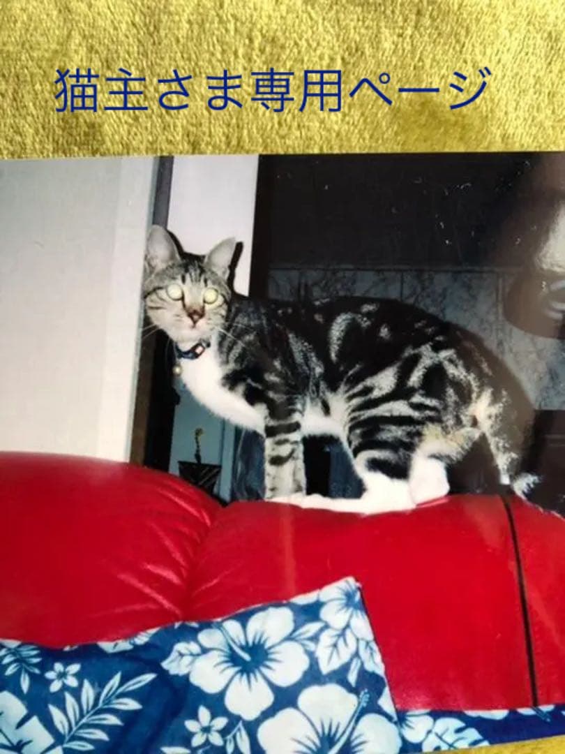 猫主さま専用ページ