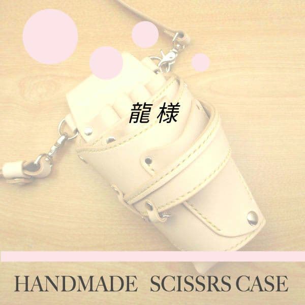 龍 ページ　SCO-125/CN