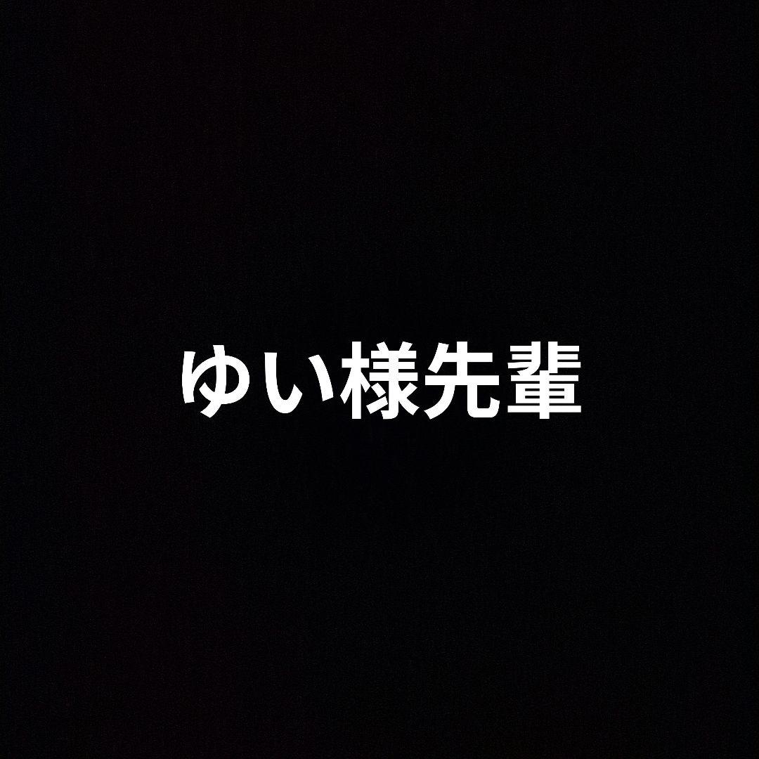 ディズニー　wishing wing ぬいぐるみ　チャーム　30点