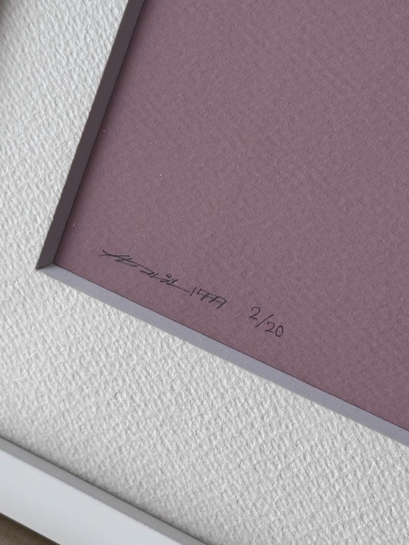 激レア⭐︎Narcolepsy1999 ジークレープリント アート作品 20部限定