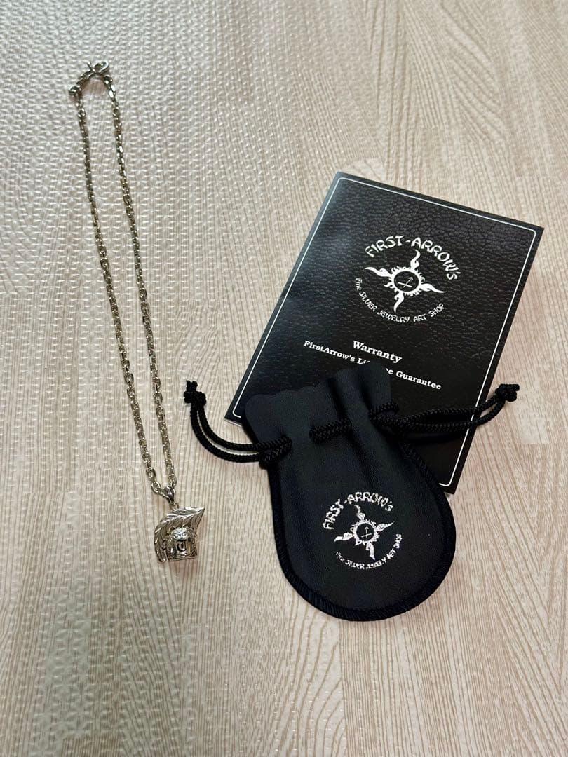 貴重！【長渕剛】イカイカペンダント FIRST ARROWSチェーン付き