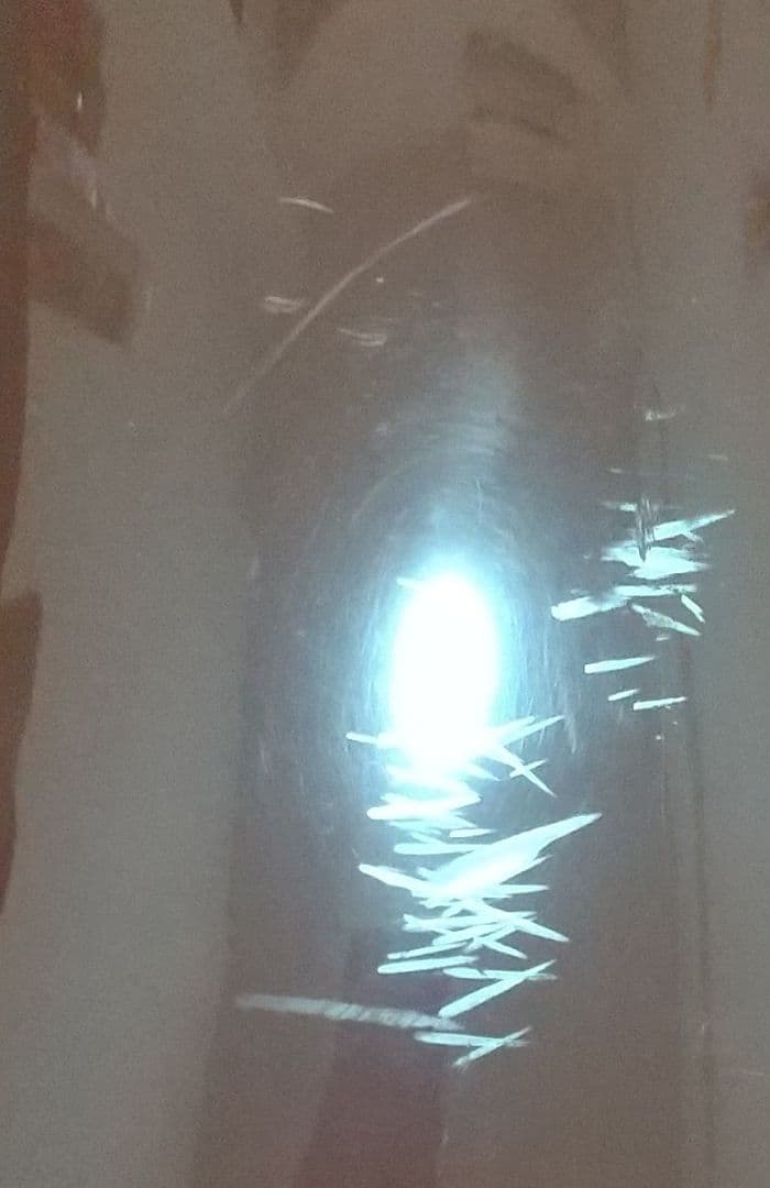 Playtech プレイテック チェロ 4/4 ハードケース付き