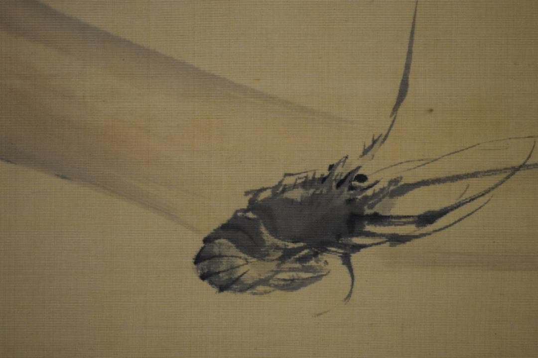 真作/松村景文/伊勢海老図/軸先蒔絵/布袋屋掛軸HH-479