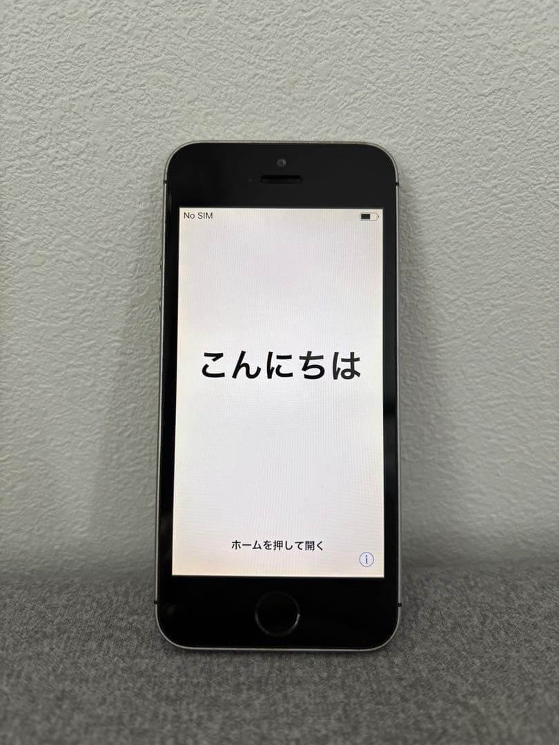 【中古品】iPhone SE 第1世代 64GB スペースグレイ　　　充電器付き