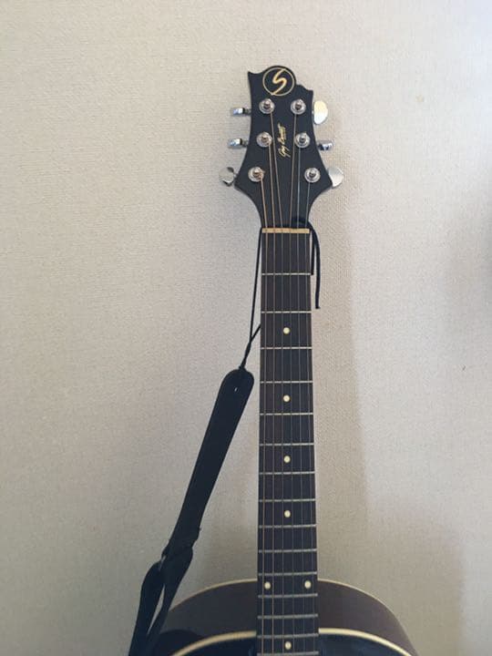 エレアコ　Greg Bennett