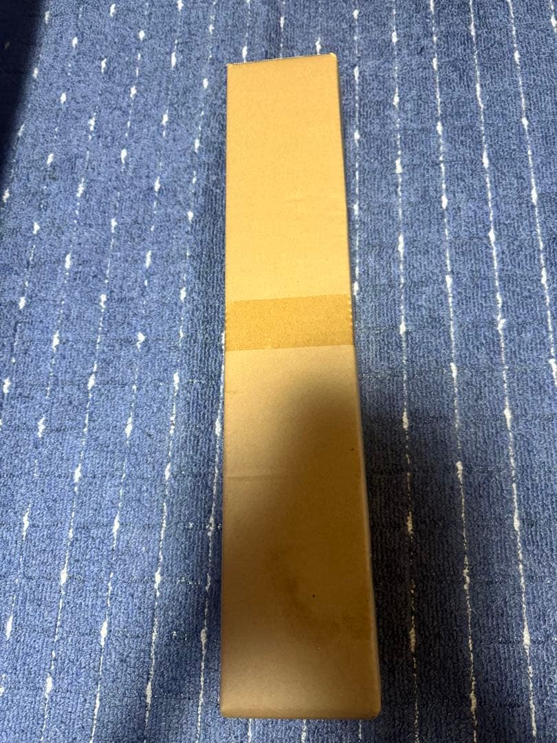 ONEOKROCK 2025 DETOX JAPAN ラグマット ②