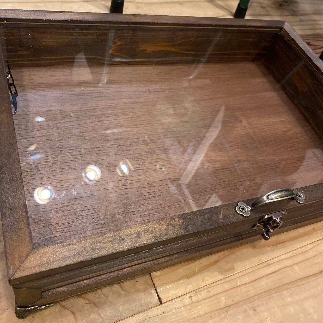 リーフ３　木製ガラスディスプレイケース