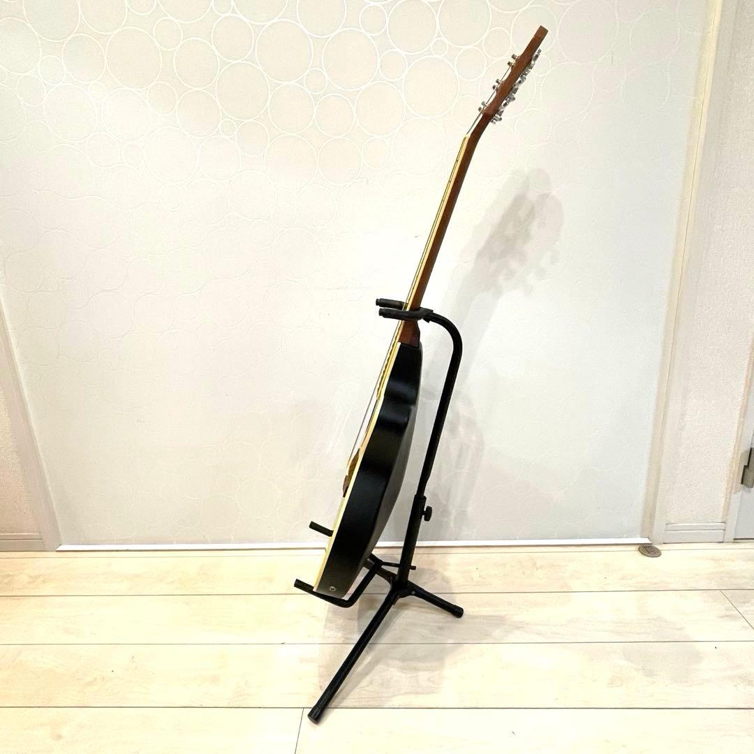 【希少】Pro Martin エレアコ EA350 カッタウェイ サンバースト