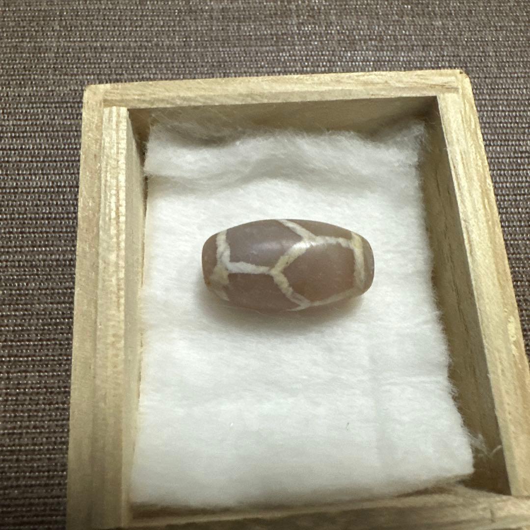 紅朱砂　亀甲EC