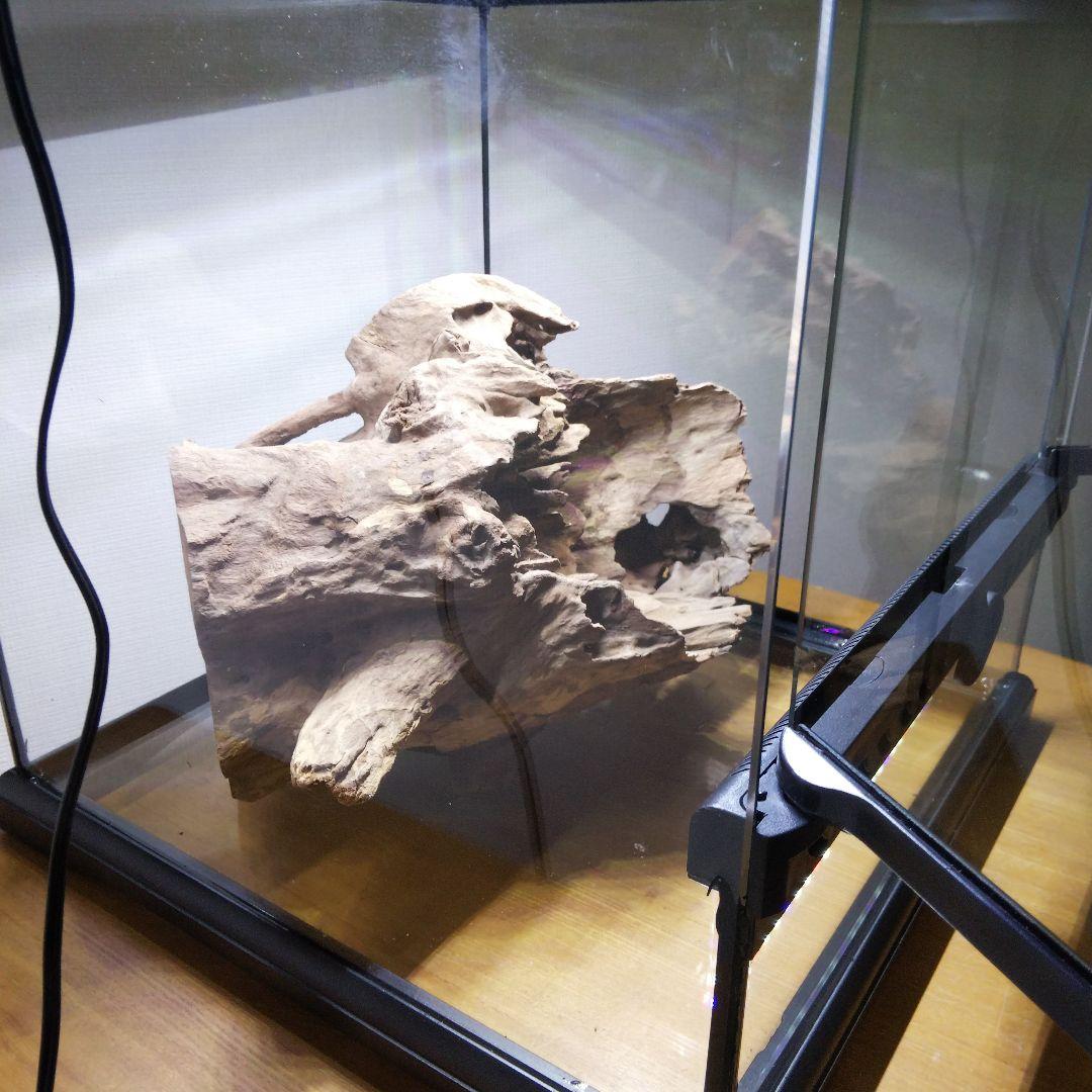 フトアゴヒゲトカゲ飼育　爬虫類飼育ケージ