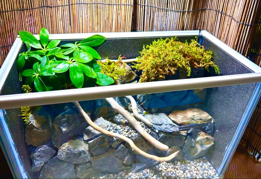水の流れる滝テラリウム水槽　40サイズ
