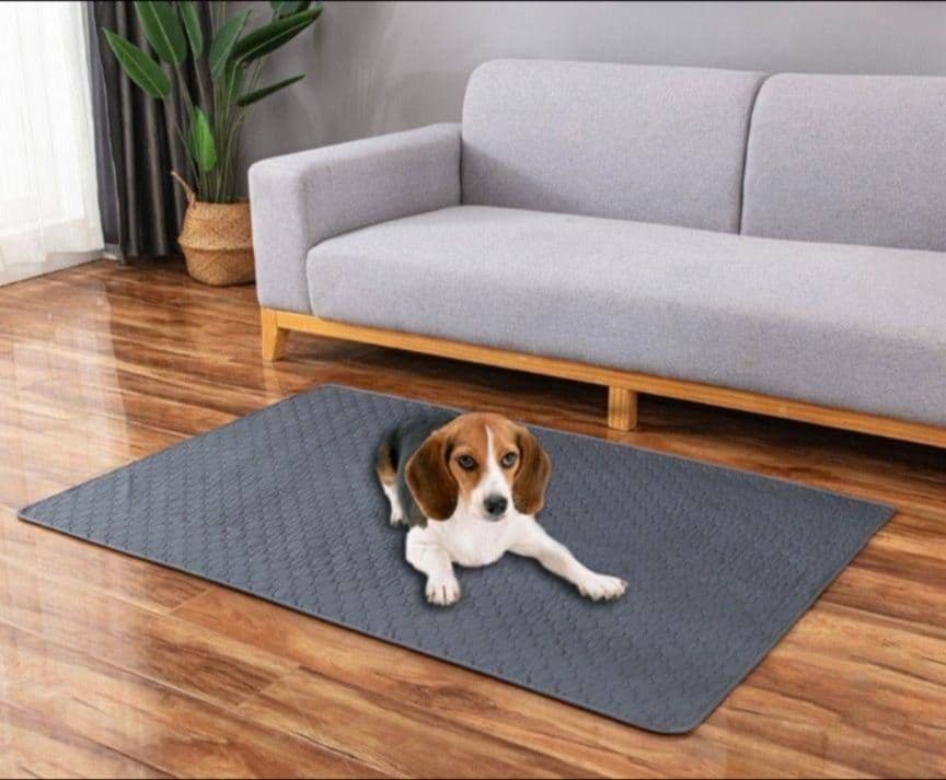 【新品】トイレ　ペットシート　吸水　おしっこ　犬　猫　2枚組　洗える　グレー