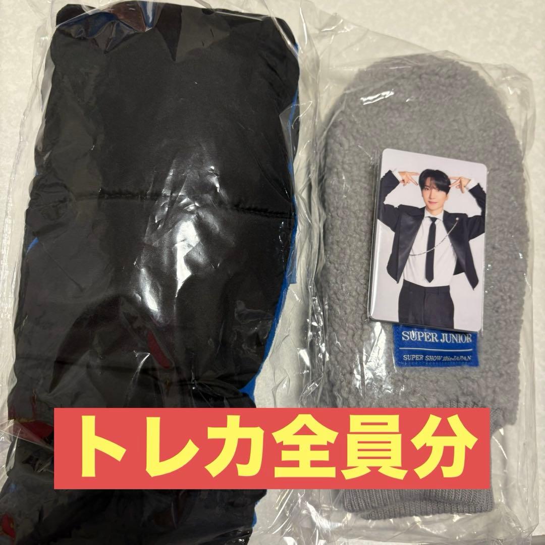 SUPER SHOW 10 アプグレ プレミアムシート 12/13