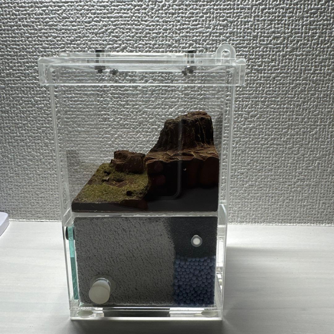 アクリル製アリ飼育キット 自然な岩レイアウト