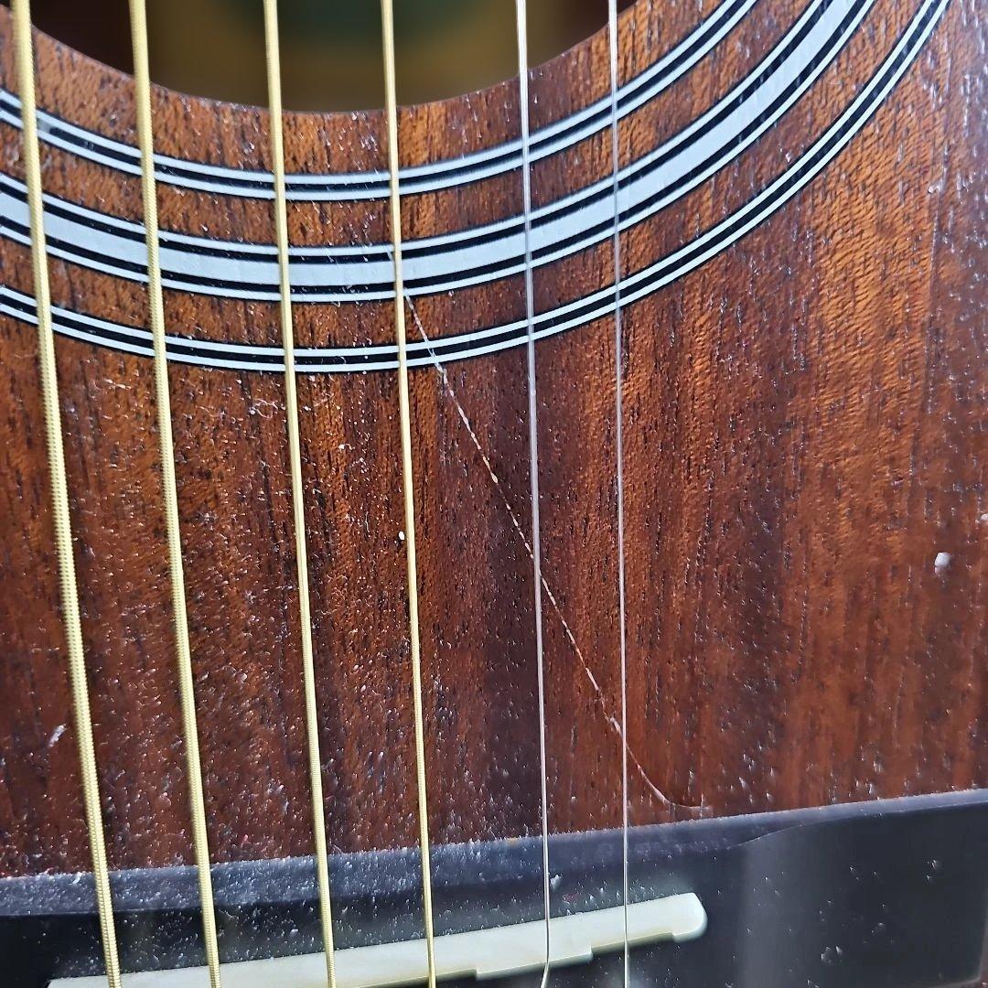 Stafford.SF-4DMオールマホ。トップ単板エレアコ。ソフトケース付き