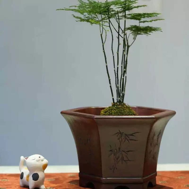 中国宜興 紫砂鉢 盆栽鉢 植木鉢 小品盆栽鉢 大品盆栽鉢