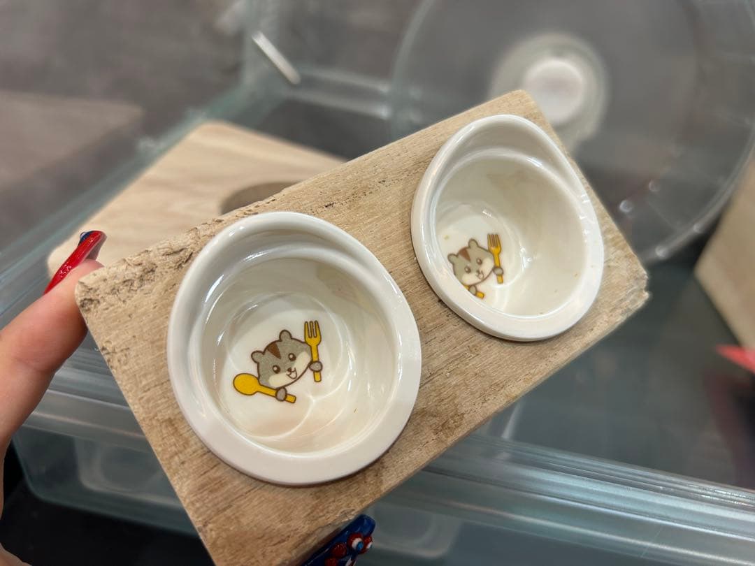 【総額2万円相当！ハムスター飼育セット】GEX グラスハーモニー・新品おやつ付き