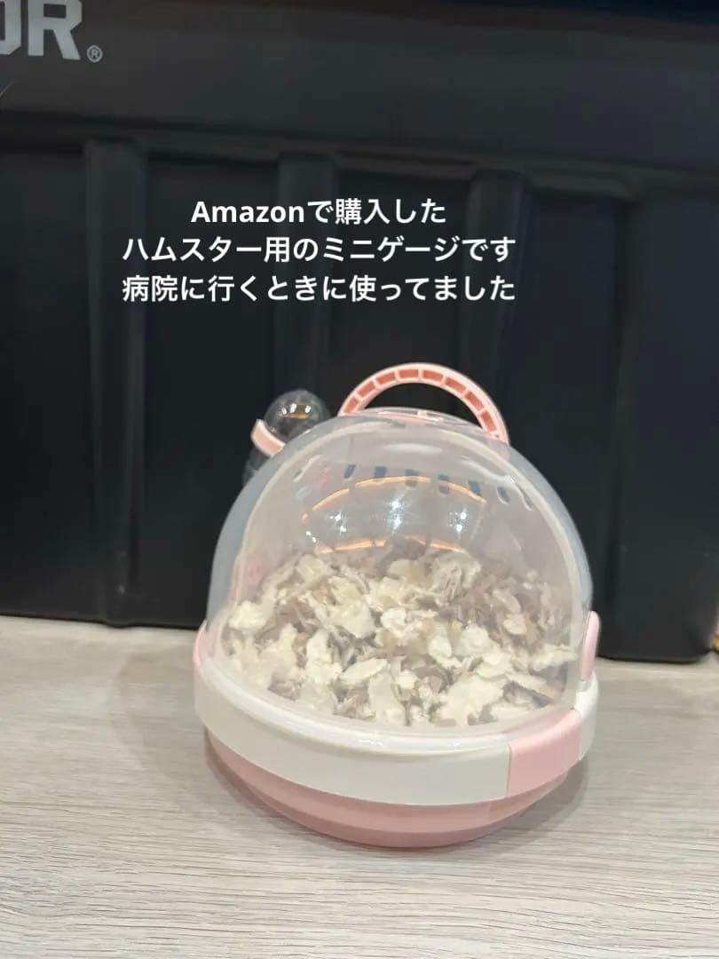 【総額2万円相当！ハムスター飼育セット】GEX グラスハーモニー・新品おやつ付き