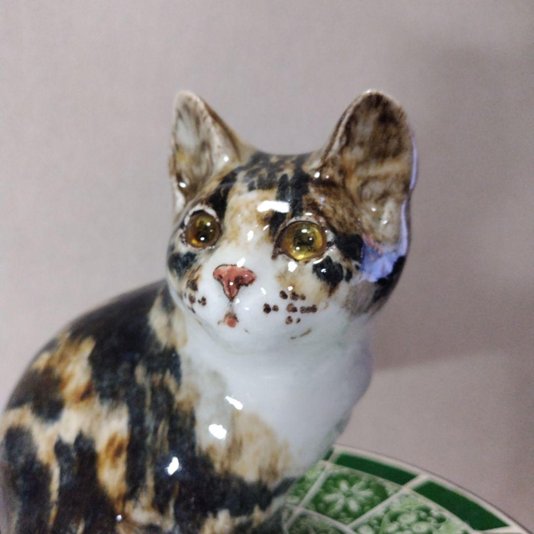 ウィンスタンレイキャット（ケンジントンキャット）サイズ4