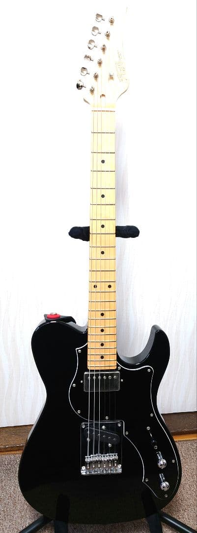 c*k様 FUJIGEN FGN フジゲン テレキャスター ギター