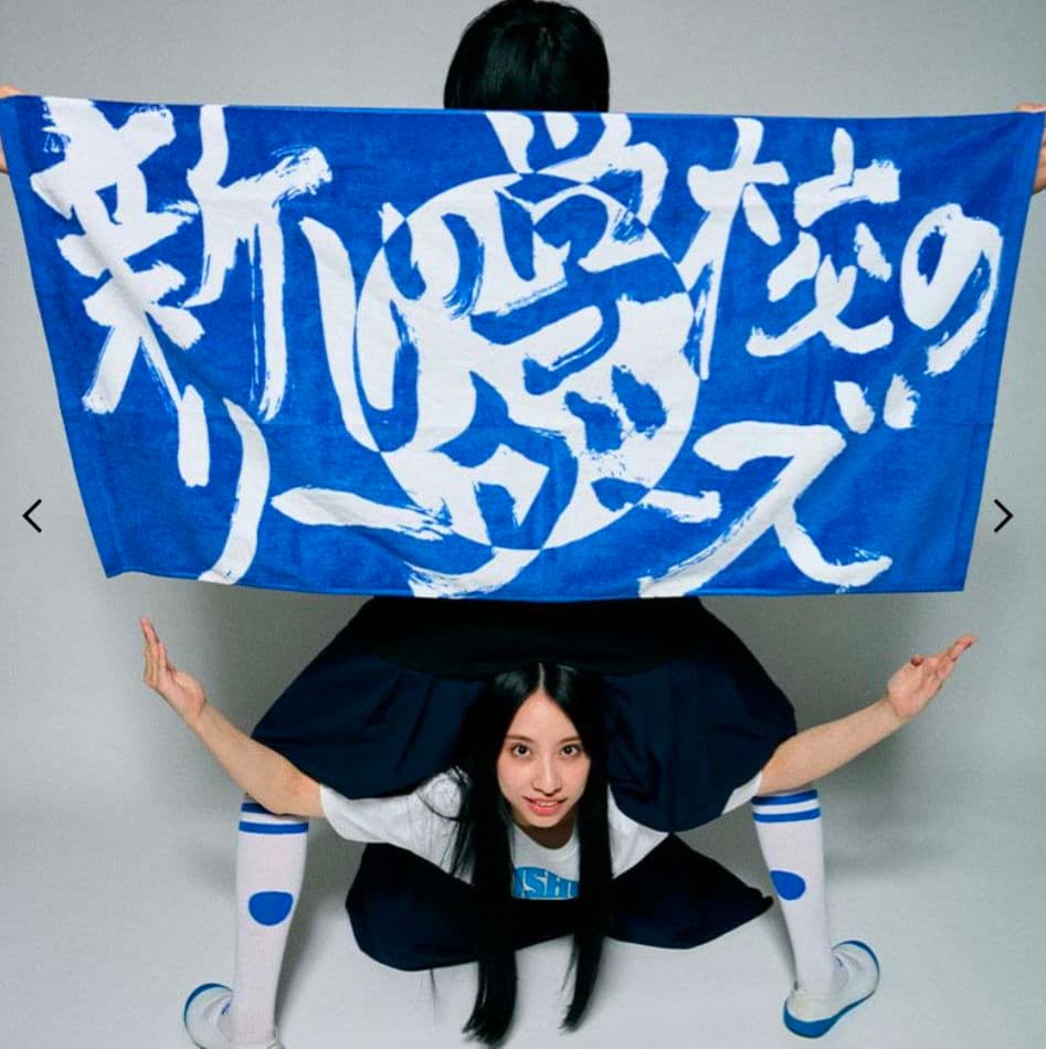 新しい学校のリーダーズ 公式大判タオル 武道館公演限定 現在販売なし レア！
