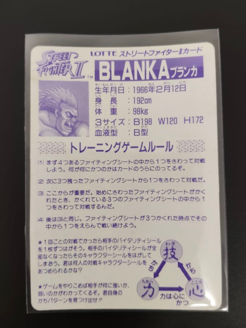 超希少 全12キャラ LOSE ver. ストリートファイター カード