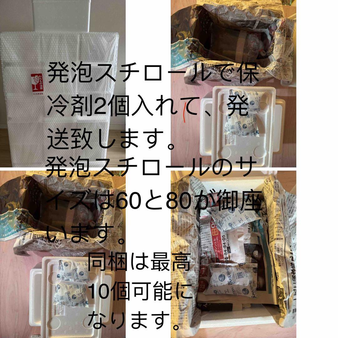 SPS 7種類 サンゴ