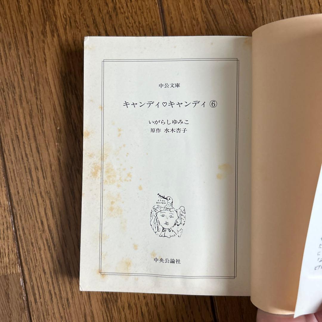 キャンディ・キャンディ　文庫版　全6巻　いがらしゆみこ　全巻セット