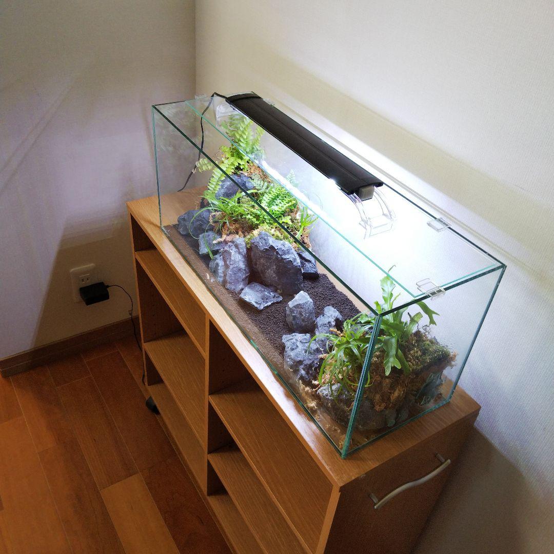 【受注生産】アクアテラリウム　イモリウム　苔　水槽　苔テラリウム