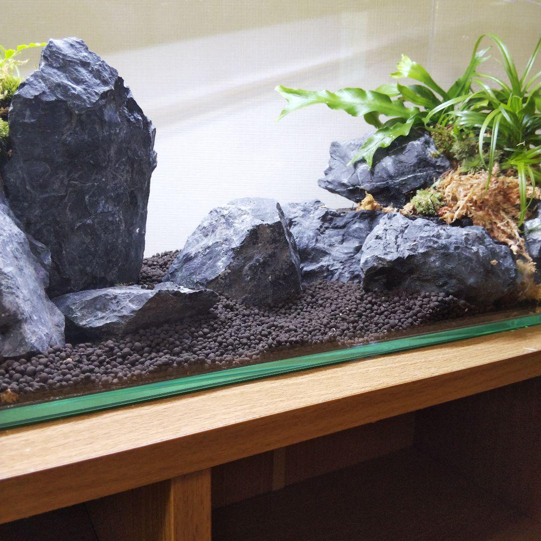 【受注生産】アクアテラリウム　イモリウム　苔　水槽　苔テラリウム