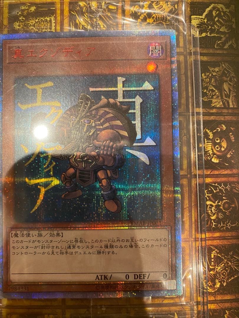 真・エクゾディア 20th 未開封