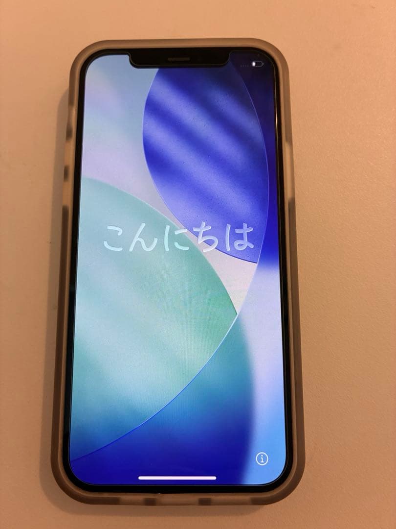 Apple iPhone12 256GB SIMフリー