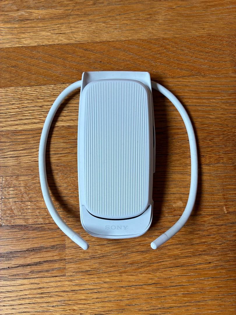 その他 sony reon pocket4