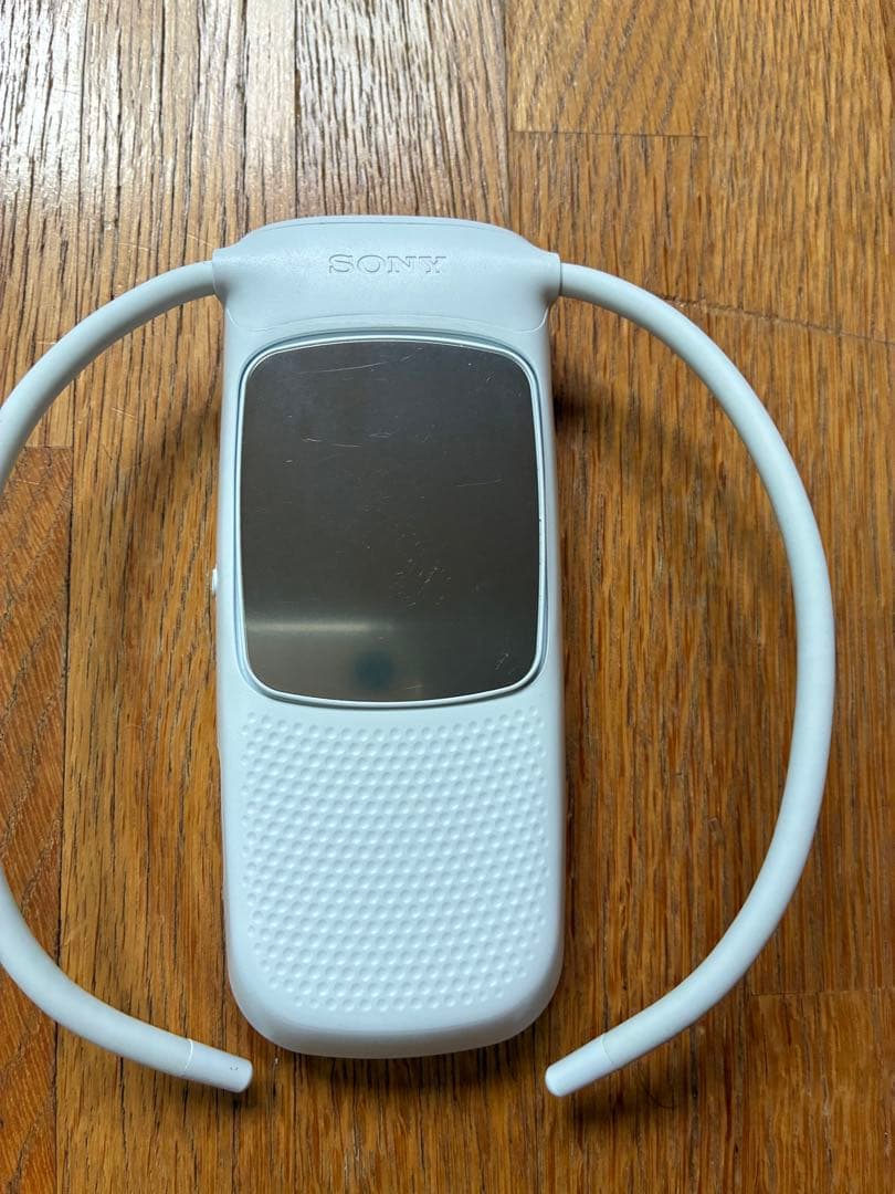 その他 sony reon pocket4