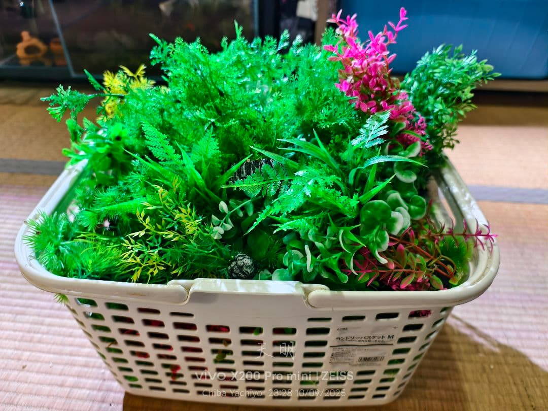 人工水草セット 多様な色と形