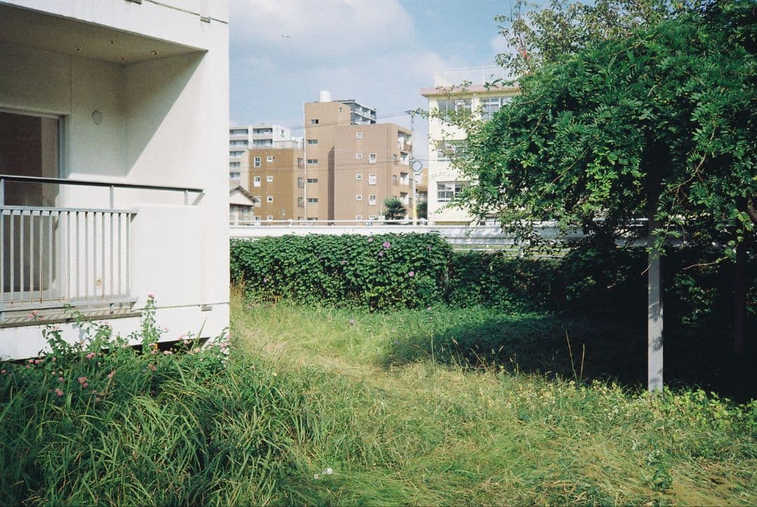 RICOH HI-COLOR 35 実写作例あり