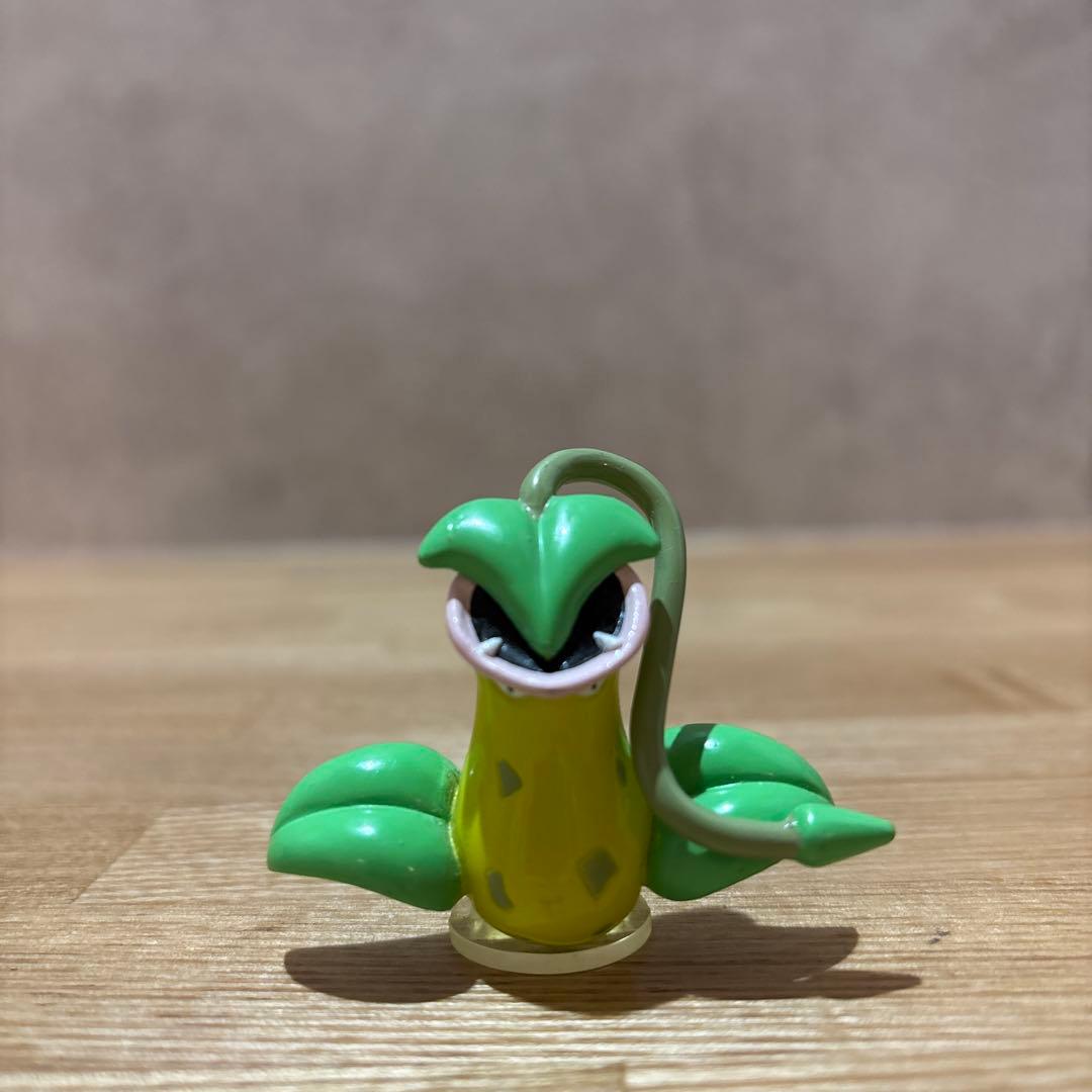 【廃盤/進化セット/極美品/激レア】 モンコレ　マダツボミ　ウツドン　ウツボット