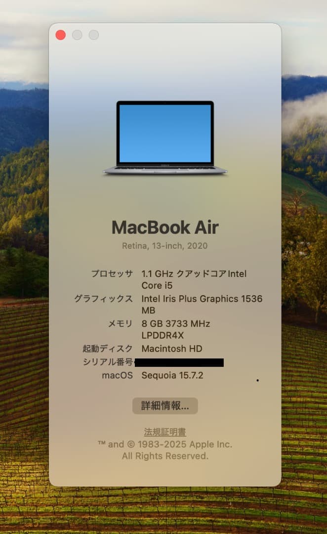 箱付きMacBookAir2020/トラックパッド一部不良　USキー