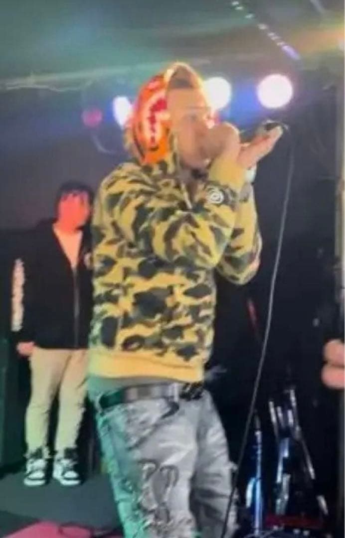 ［希少］［年末セール］APEシャークパーカータイガー　Eric b jr着用