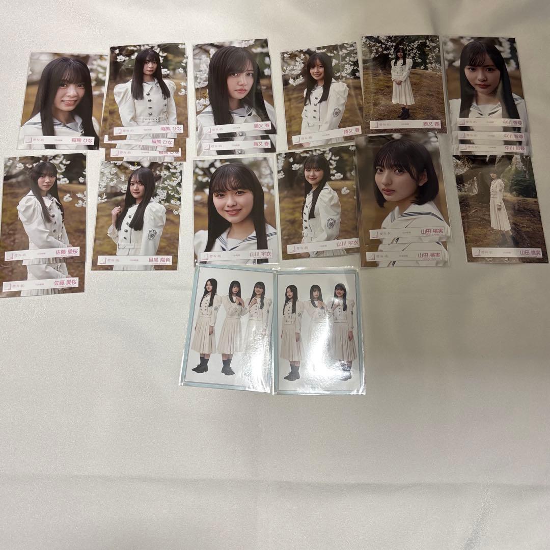 ま*K様 【300円スタート】櫻坂46 生写真 まとめ売り 454枚