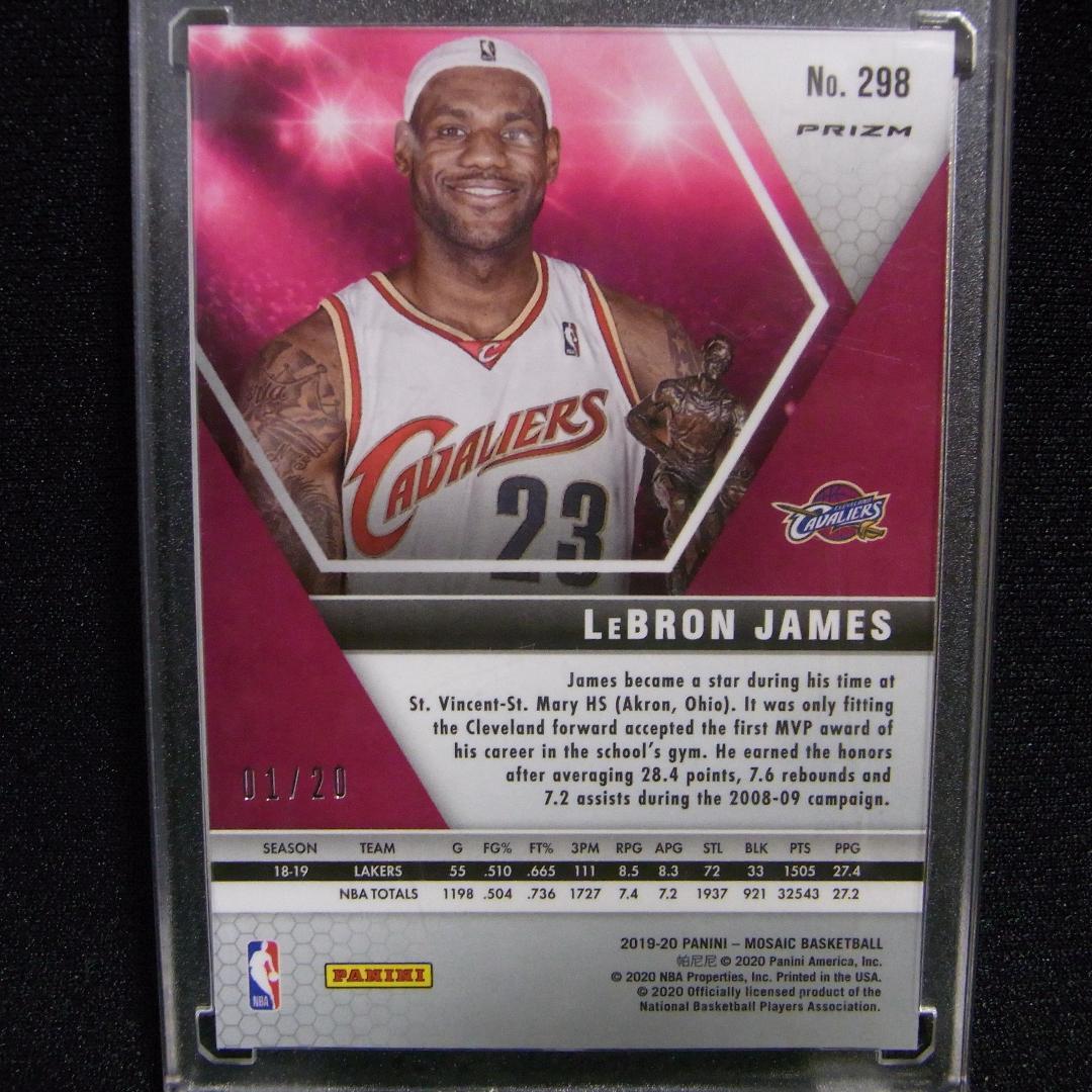 【20シリ】LeBron James PURPLE GOLD SNAKESKIN