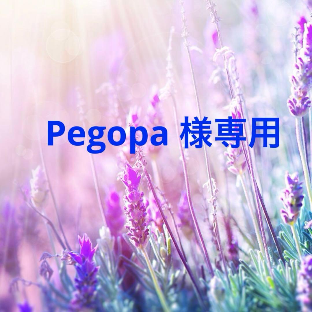 艶 二液性エポキシ クラフトレジン液 2400g