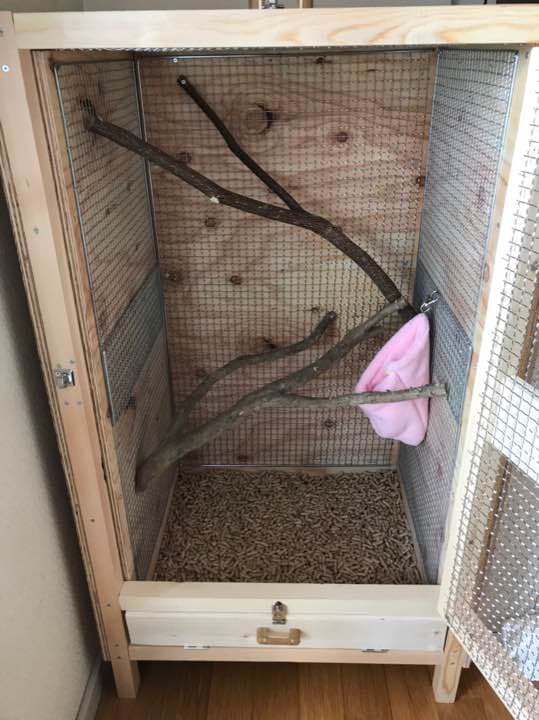 モモンガ ゲージ 小動物