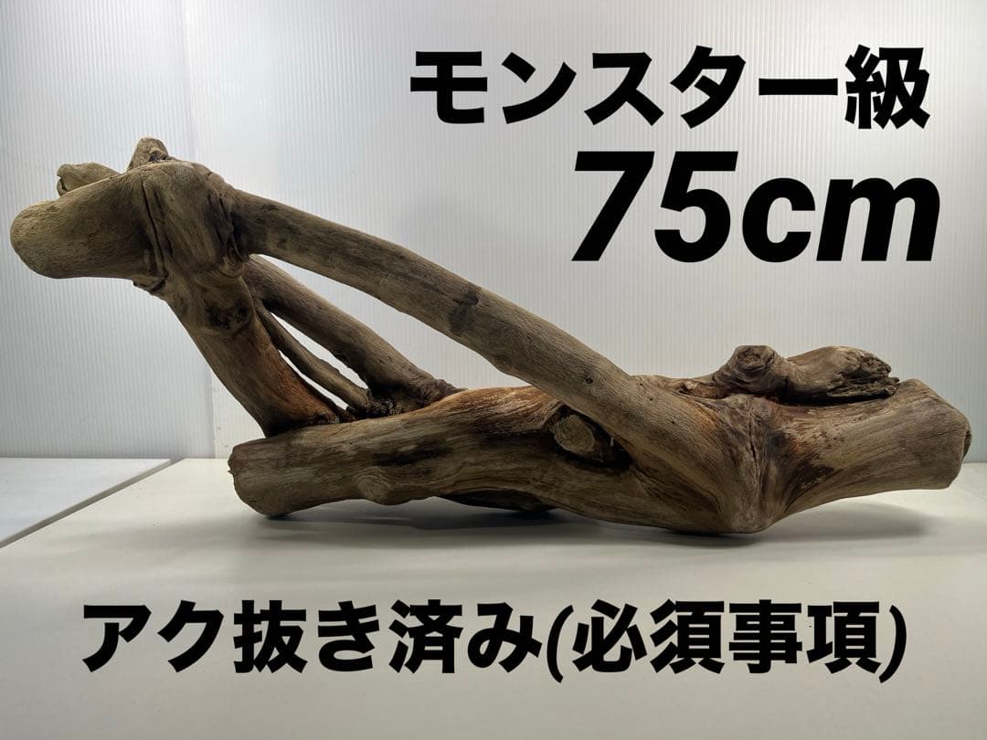 A16大型流木 アク抜き済み流木 爬虫類シェルター 登り木 インテリア 生け花