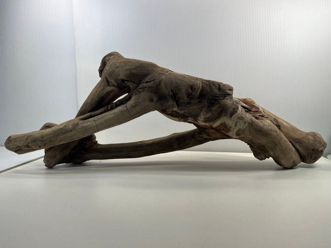 A16大型流木 アク抜き済み流木 爬虫類シェルター 登り木 インテリア 生け花