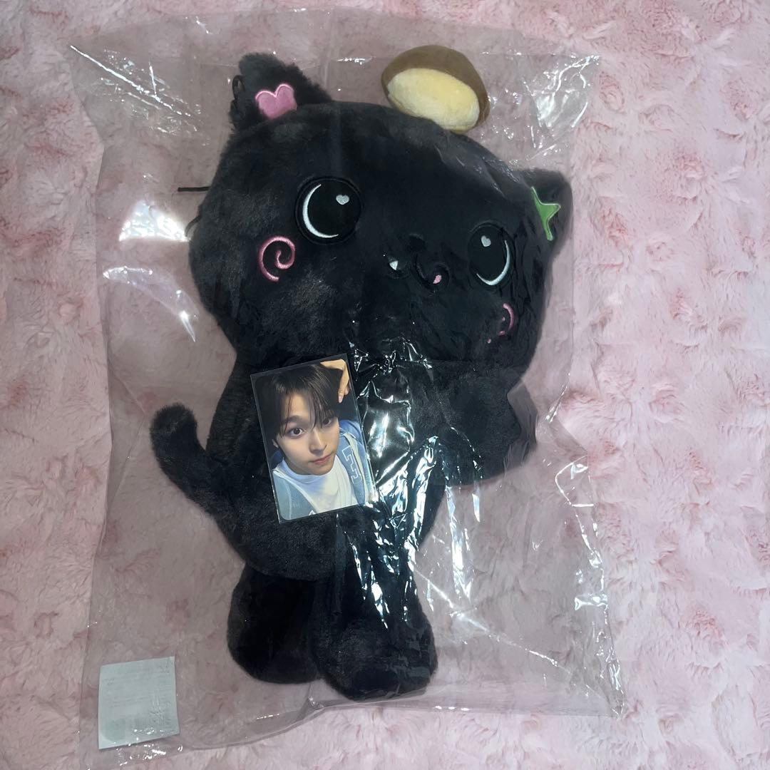 nct wish リク クリ log in ぬいぐるみ トレカ