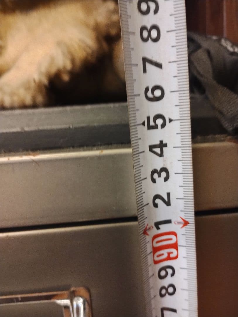 BISLEY　 高さ約100cm　カッコいい！！