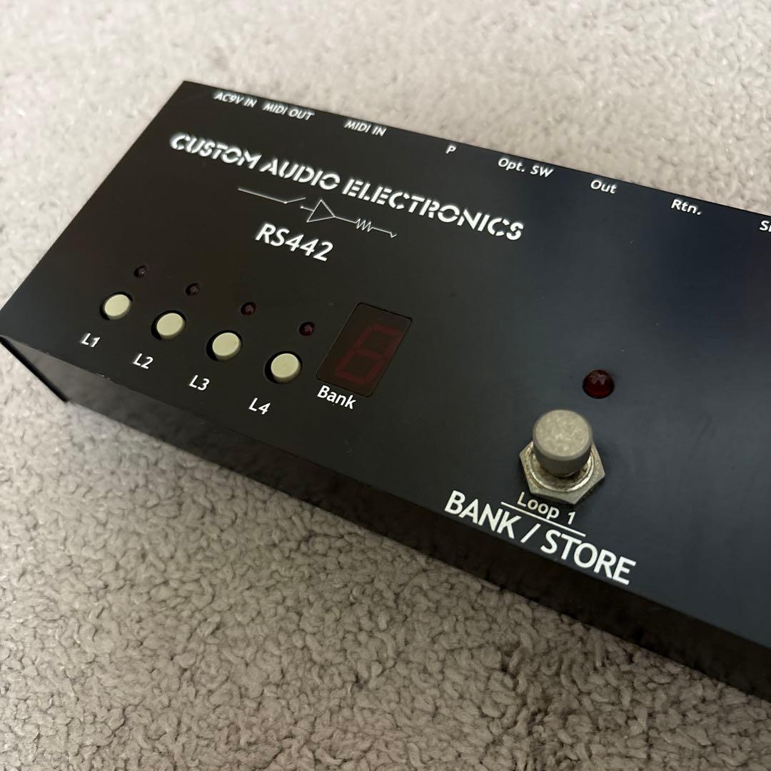 ギター CUSTOM AUDIO ELECTRONICS RS442